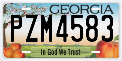 GA license plate PZM4583