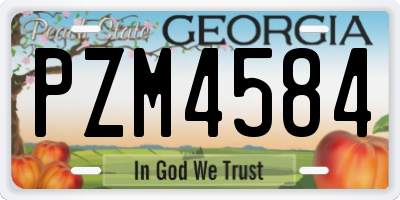 GA license plate PZM4584