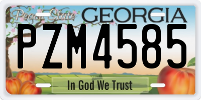 GA license plate PZM4585
