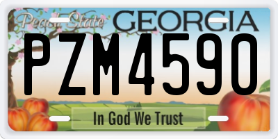 GA license plate PZM4590