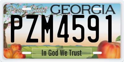 GA license plate PZM4591