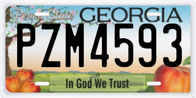 GA license plate PZM4593