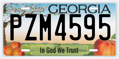 GA license plate PZM4595