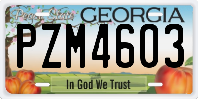 GA license plate PZM4603