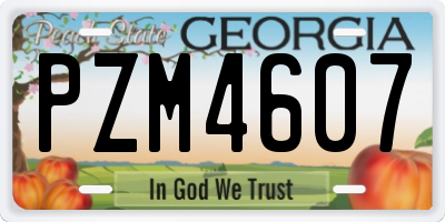 GA license plate PZM4607