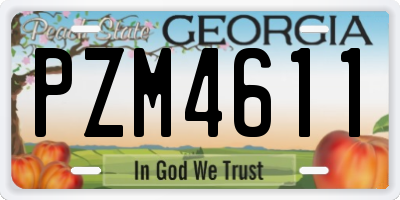 GA license plate PZM4611