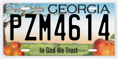GA license plate PZM4614