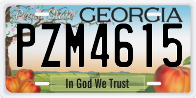 GA license plate PZM4615