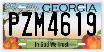 GA license plate PZM4619