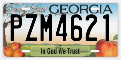 GA license plate PZM4621