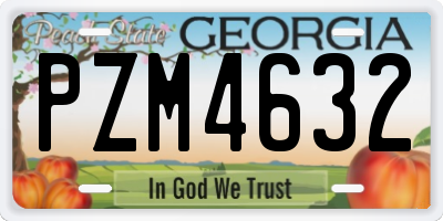 GA license plate PZM4632