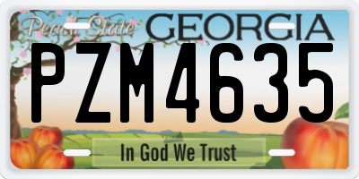 GA license plate PZM4635