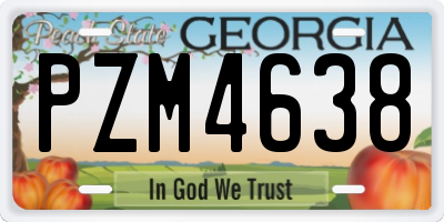 GA license plate PZM4638
