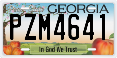GA license plate PZM4641