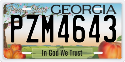GA license plate PZM4643