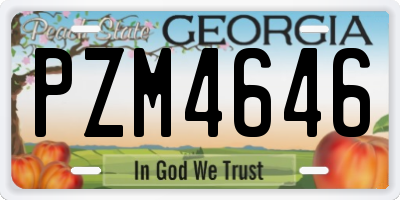 GA license plate PZM4646