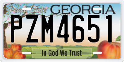 GA license plate PZM4651