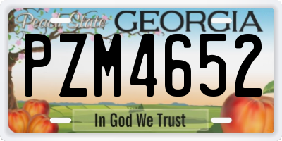 GA license plate PZM4652