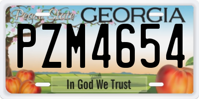 GA license plate PZM4654