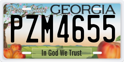 GA license plate PZM4655