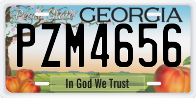 GA license plate PZM4656