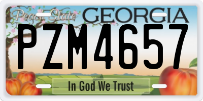 GA license plate PZM4657