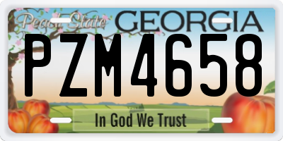 GA license plate PZM4658