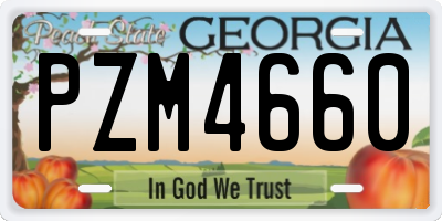 GA license plate PZM4660