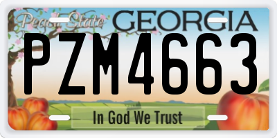 GA license plate PZM4663