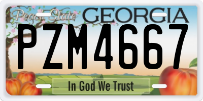 GA license plate PZM4667