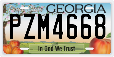 GA license plate PZM4668