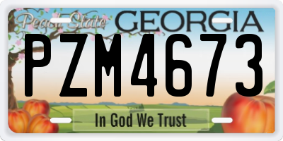 GA license plate PZM4673