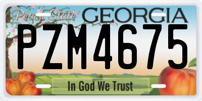 GA license plate PZM4675