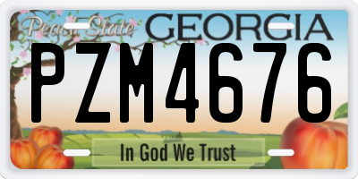 GA license plate PZM4676