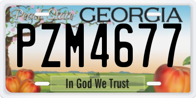 GA license plate PZM4677