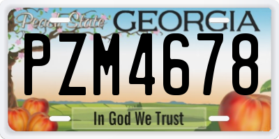 GA license plate PZM4678