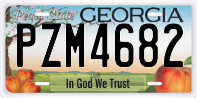 GA license plate PZM4682