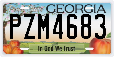 GA license plate PZM4683