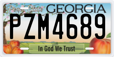 GA license plate PZM4689