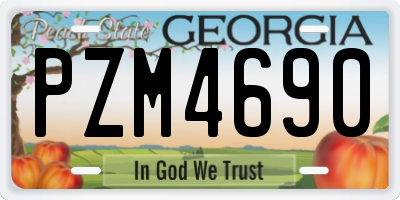 GA license plate PZM4690