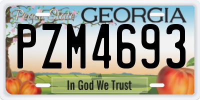 GA license plate PZM4693