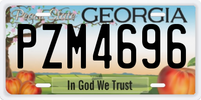 GA license plate PZM4696