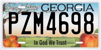 GA license plate PZM4698