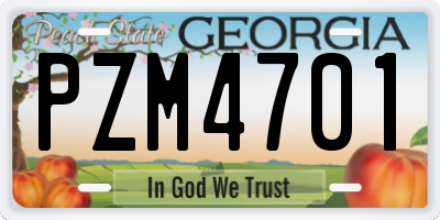 GA license plate PZM4701