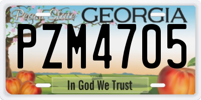 GA license plate PZM4705