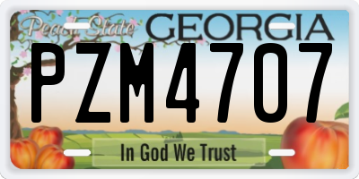 GA license plate PZM4707