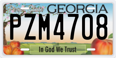 GA license plate PZM4708