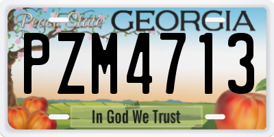 GA license plate PZM4713