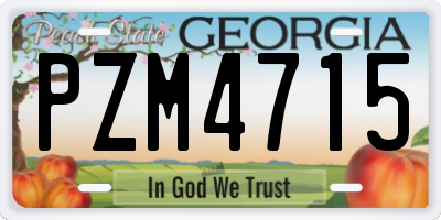 GA license plate PZM4715