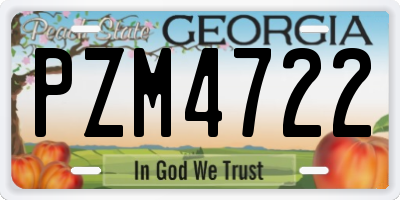 GA license plate PZM4722